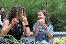 Şamaxıda Üzüm və Şərab Festivalı başlayıb (FOTO)