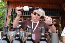 Şamaxıda Üzüm və Şərab Festivalı başlayıb (FOTO)