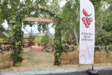 Şamaxıda Üzüm və Şərab Festivalı başlayıb (FOTO)