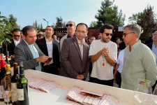 Şamaxıda Üzüm və Şərab Festivalının açılış mərasimi keçirilib (FOTO)