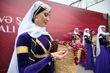 Şamaxıda Üzüm və Şərab Festivalının açılış mərasimi keçirilib (FOTO)
