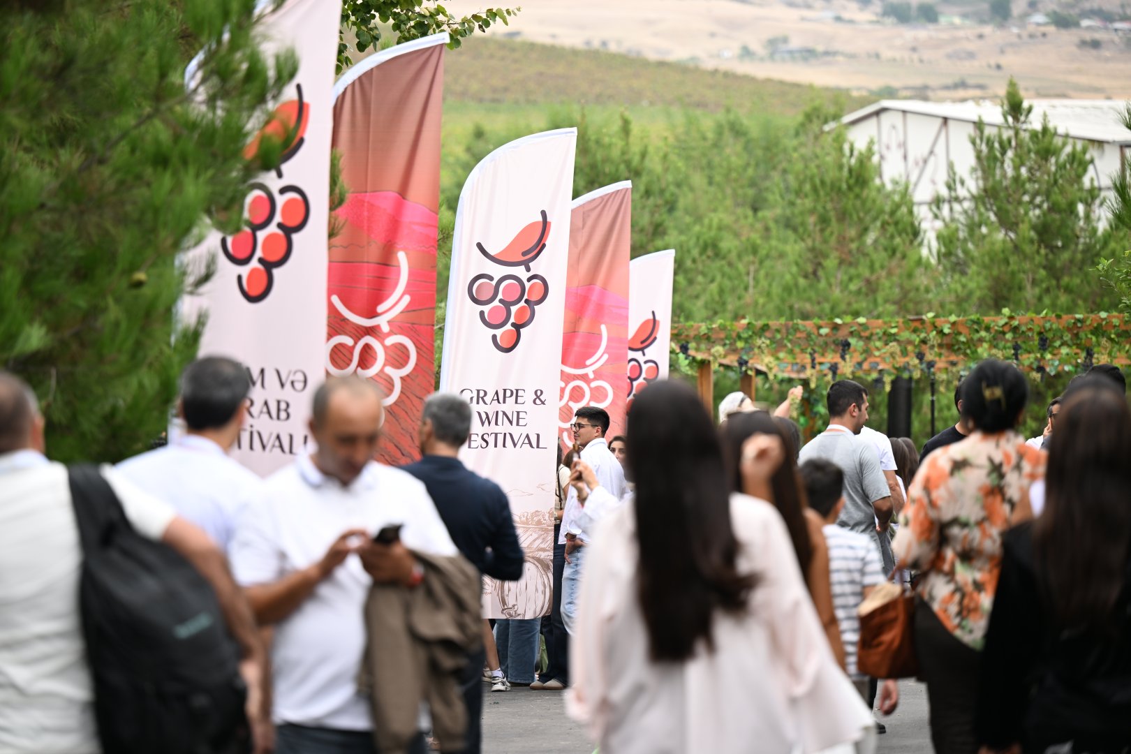 Şamaxıda Üzüm və Şərab Festivalının açılış mərasimi keçirilib (FOTO)