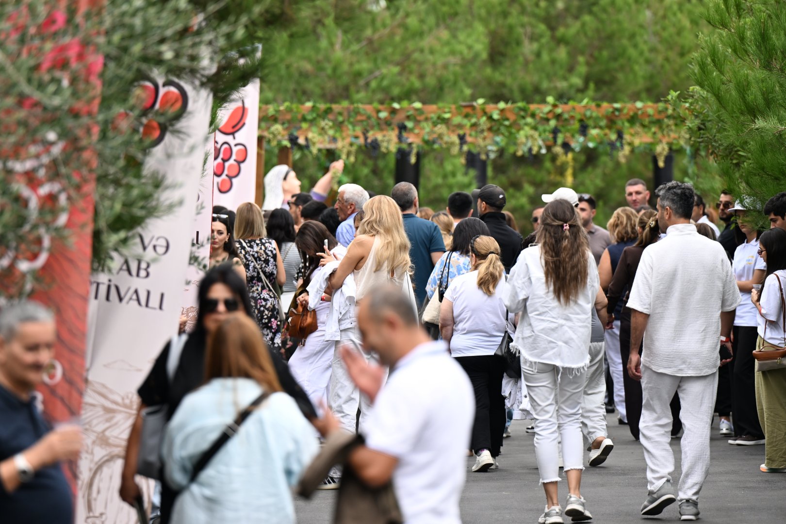 Şamaxıda Üzüm və Şərab Festivalının açılış mərasimi keçirilib (FOTO)