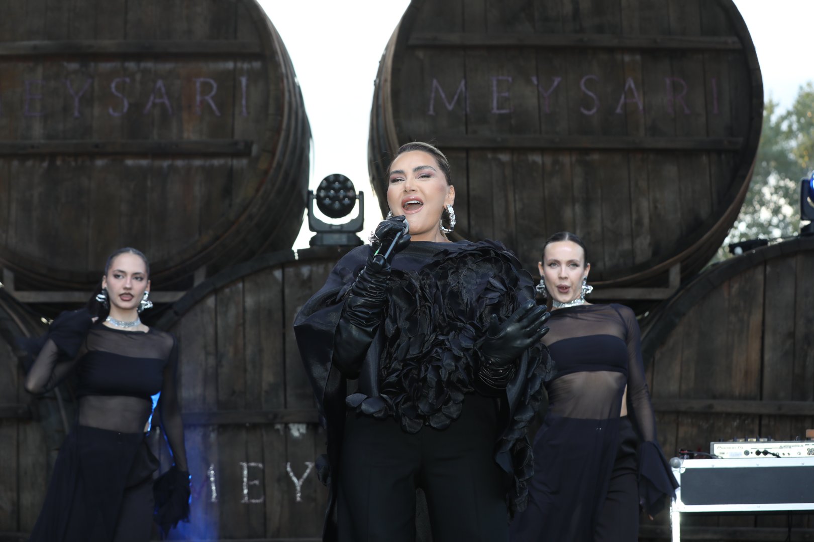Üzüm, şərab və musiqi - Şamaxıda festival belə başa çatdı (FOTO)