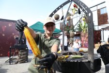 Üzüm, şərab və musiqi - Şamaxıda festival belə başa çatdı (FOTO)