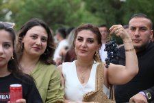 Üzüm, şərab və musiqi - Şamaxıda festival belə başa çatdı (FOTO)