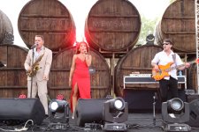 Üzüm, şərab və musiqi - Şamaxıda festival belə başa çatdı (FOTO)