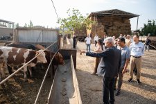 AİB Direktorlar Şurasının üzvləri Gəncədə Bank Respublika-nın maliyyələşdirdiyi bizneslərlə tanış olublar (FOTO)