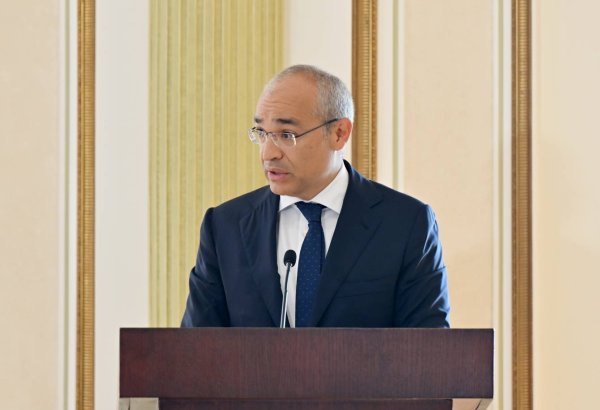 Azərbaycanın strateji minerallar üzrə regional emal imkanları genişləndirilə bilər - Nazir