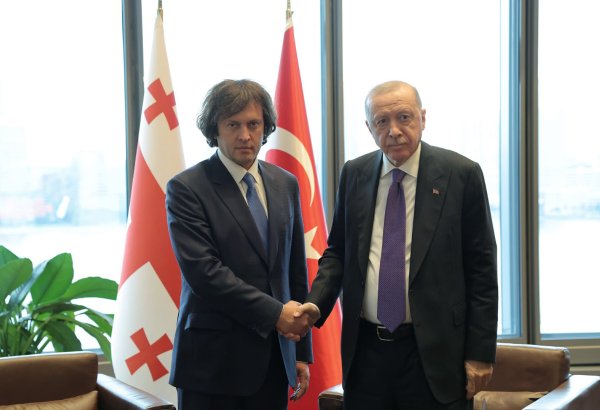 Nyu-Yorkda Ərdoğan və Kobaxidze arasında görüş keçirilib