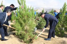 Paytaxtda anım gününə həsr edilən ağacəkmə aksiyası keçirilib (FOTO)