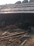Ağdərədə yük avtomobili aşıb, heyvanlar tələf olub (FOTO)