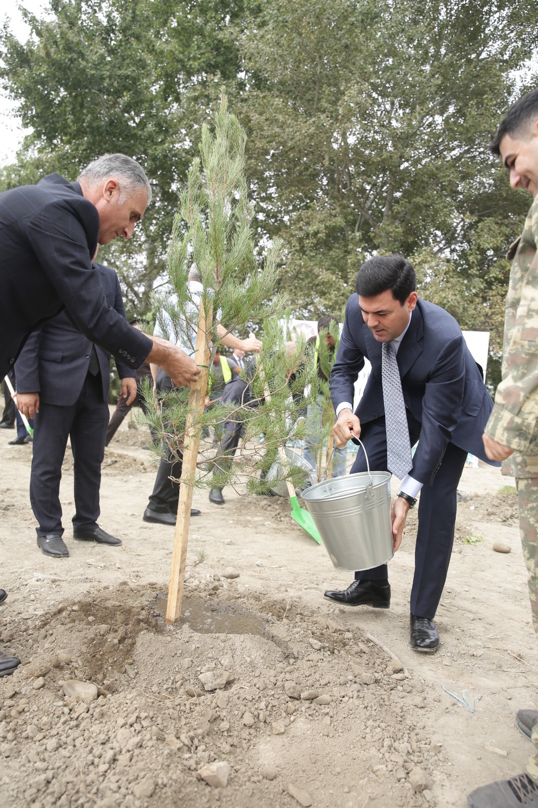 Xaçmazda şəhidlərin xatirəsinə ağacəkmə aksiyası keçirilib (FOTO)