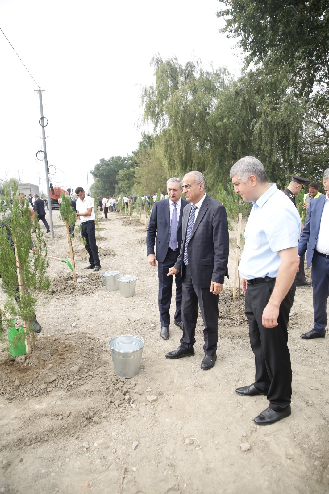 Xaçmazda şəhidlərin xatirəsinə ağacəkmə aksiyası keçirilib (FOTO)