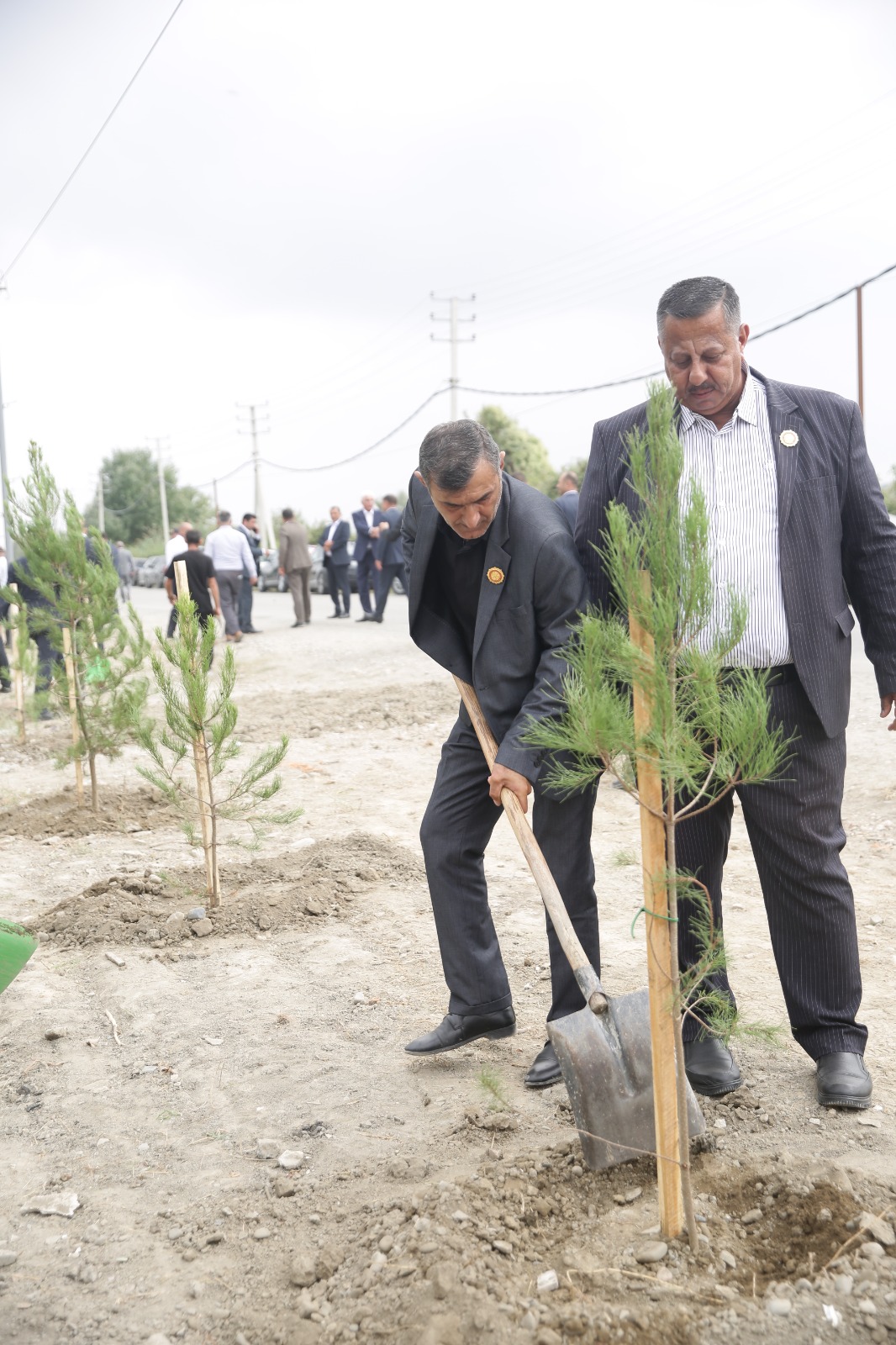 Xaçmazda şəhidlərin xatirəsinə ağacəkmə aksiyası keçirilib (FOTO)