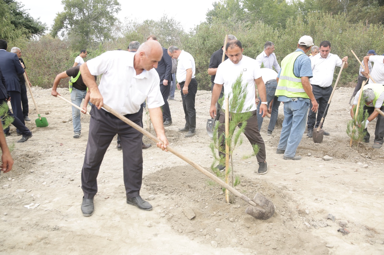 Xaçmazda şəhidlərin xatirəsinə ağacəkmə aksiyası keçirilib (FOTO)