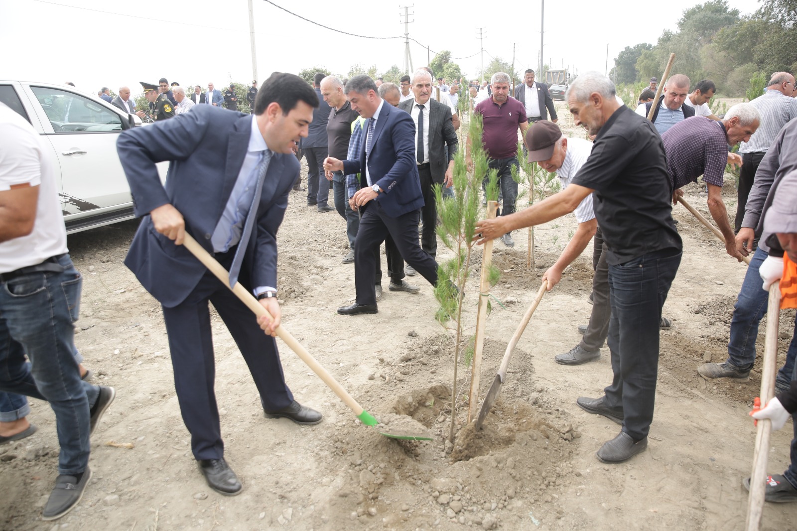 Xaçmazda şəhidlərin xatirəsinə ağacəkmə aksiyası keçirilib (FOTO)