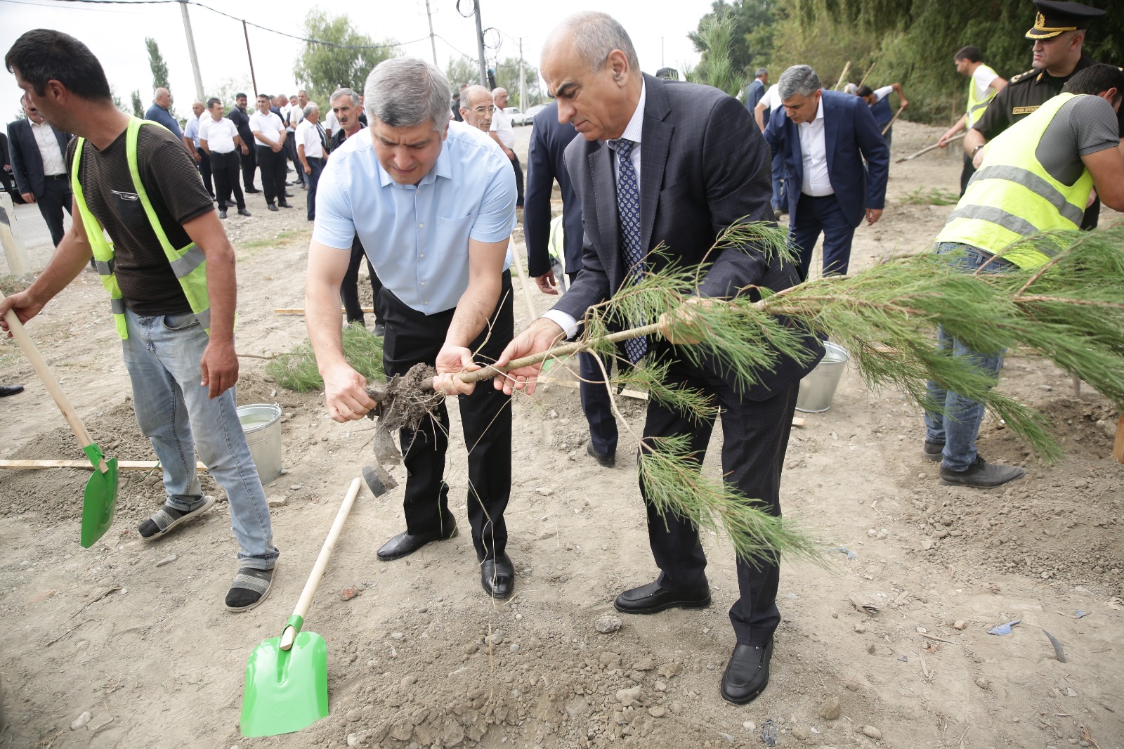 Xaçmazda şəhidlərin xatirəsinə ağacəkmə aksiyası keçirilib (FOTO)