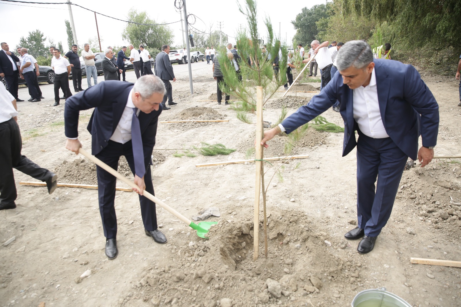 Xaçmazda şəhidlərin xatirəsinə ağacəkmə aksiyası keçirilib (FOTO)