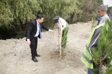 Xaçmazda şəhidlərin xatirəsinə ağacəkmə aksiyası keçirilib (FOTO)