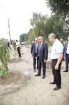 Xaçmazda şəhidlərin xatirəsinə ağacəkmə aksiyası keçirilib (FOTO)