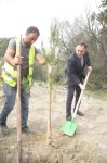 Xaçmazda şəhidlərin xatirəsinə ağacəkmə aksiyası keçirilib (FOTO)