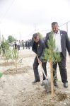 Xaçmazda şəhidlərin xatirəsinə ağacəkmə aksiyası keçirilib (FOTO)