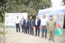Xaçmazda şəhidlərin xatirəsinə ağacəkmə aksiyası keçirilib (FOTO)