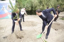 Xaçmazda şəhidlərin xatirəsinə ağacəkmə aksiyası keçirilib (FOTO)