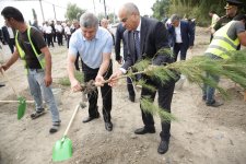 Xaçmazda şəhidlərin xatirəsinə ağacəkmə aksiyası keçirilib (FOTO)