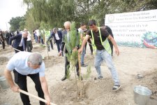Xaçmazda şəhidlərin xatirəsinə ağacəkmə aksiyası keçirilib (FOTO)