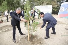 Xaçmazda şəhidlərin xatirəsinə ağacəkmə aksiyası keçirilib (FOTO)