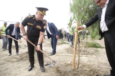 Xaçmazda şəhidlərin xatirəsinə ağacəkmə aksiyası keçirilib (FOTO)