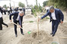 Xaçmazda şəhidlərin xatirəsinə ağacəkmə aksiyası keçirilib (FOTO)