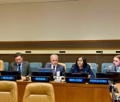 Azərbaycan BMT-də kiçik ada dövlətlərinin irsinin qorunması proqramını təqdim edib (FOTO)