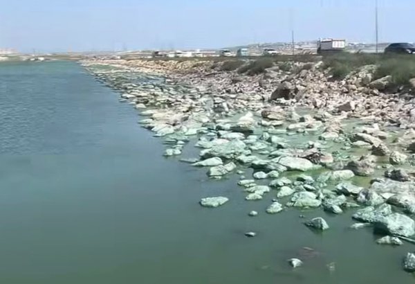 Böyükşor gölündə daşların yaşıllaşması ilə bağlı yayılan görüntülərə aydınlıq gətirilib