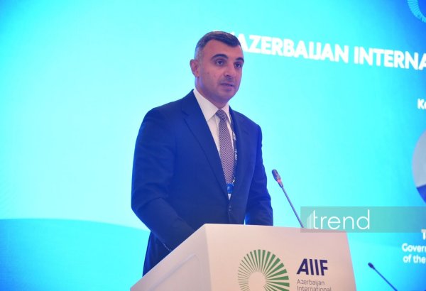 Azərbaycanın strateji ehtiyatları ÜDM-i üstələyir - Taleh Kazımov