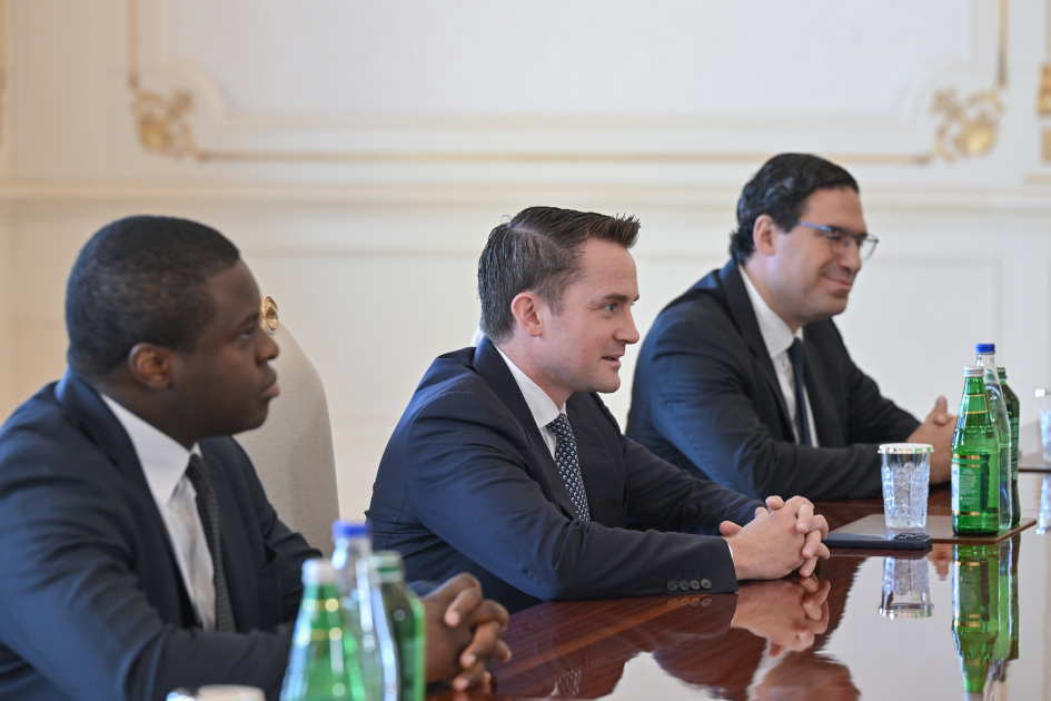 Prezident İlham Əliyev “Brookfield Asset Management” şirkətinin baş icraçı direktorunu qəbul edib (FOTO)