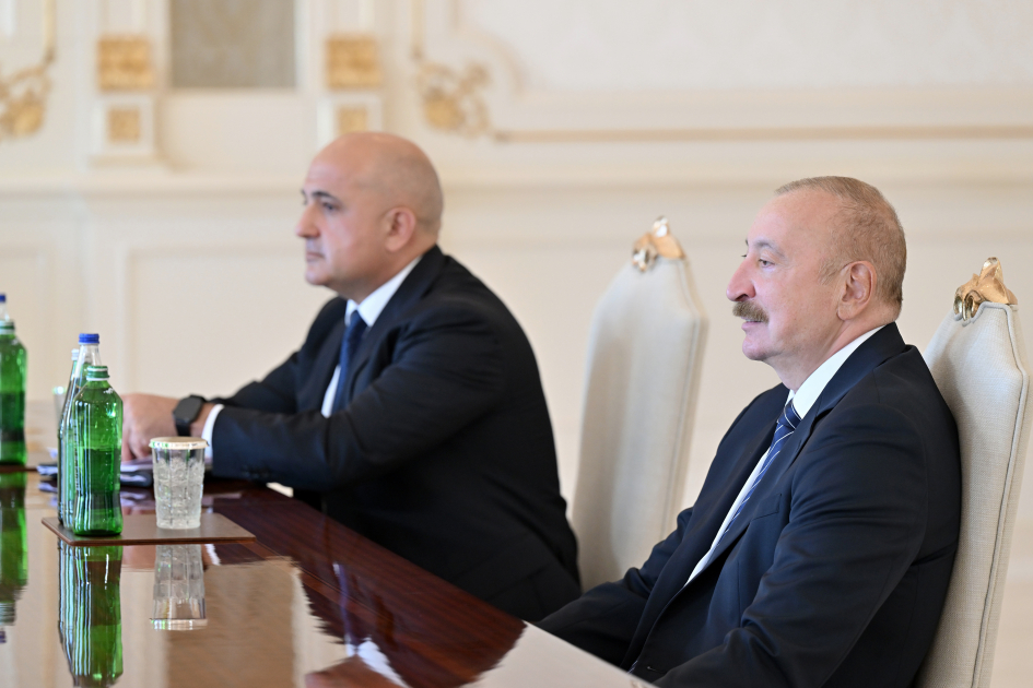 Prezident İlham Əliyev “Neuberger Berman” şirkətinin sədri və baş icraçı direktorunu qəbul edib (FOTO)