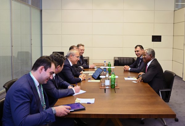 “Global Infrastructure Partners” ilə Azərbaycanın investisiya imkanları müzakirə olunub (FOTO)