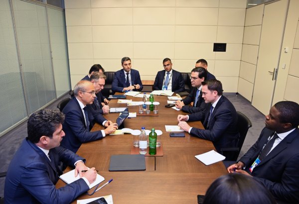 Azərbaycan və “Brookfield Asset Management” şirkəti arasında enerji keçidi müzakirə olunub