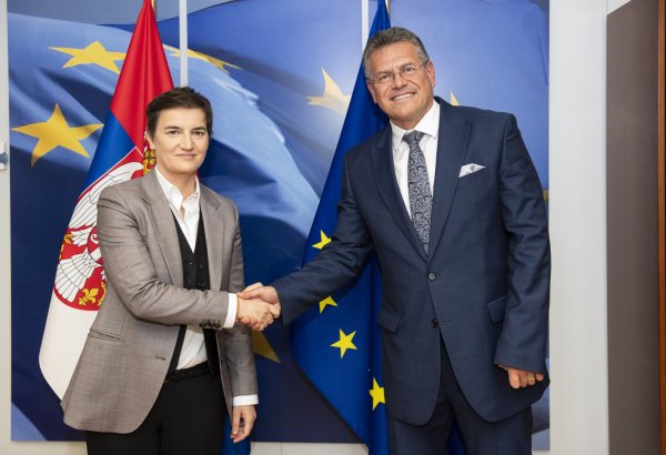 Ana Brnabiç prezident səlahiyyətlərinin icrasına başlayıb