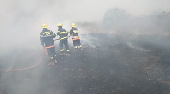 Ağsuda açıq ərazidə yanğın başladı (FOTO/VİDEO)