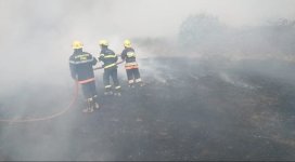 Ağsuda açıq ərazidə yanğın başladı (FOTO/VİDEO)