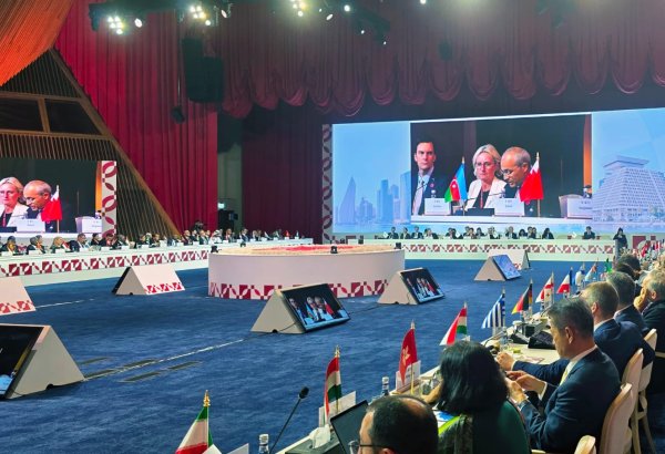 Azərbaycan AİİB ilə yeni investisiya layihələrini müzakirə edib (FOTO)