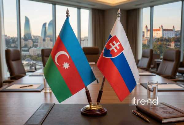 Azərbaycan və Slovakiya arasında məxfi məlumatın mübadiləsi həyata keçiriləcək