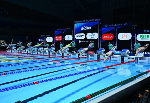 Üzgüçülük üzrə Dünya Kubokunun ikinci yarış günü yekunlaşıb (FOTO)