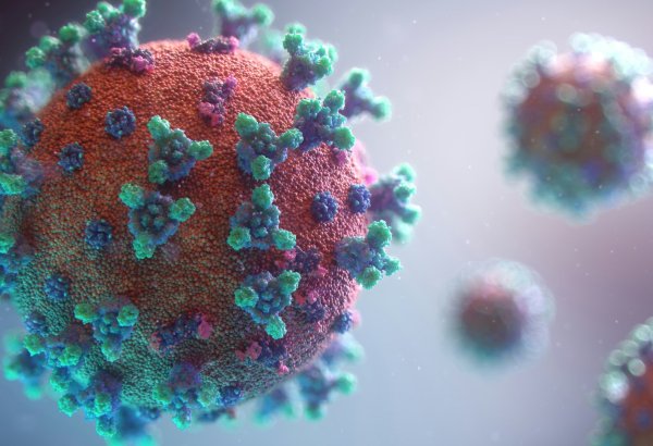 Britaniyada təhlükəli virus yayılıb