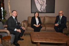 Milli Məclisin sədri Sahibə Qafarova Tanzaniyada işgüzar səfərə gəlib (FOTO)