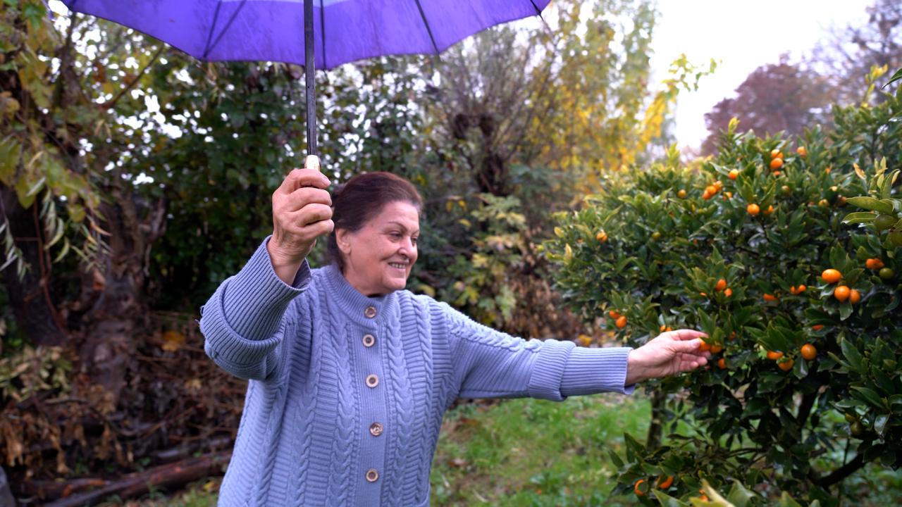PAŞA Holding fermerlərin imkanlarının genişləndirilməsinə dəstəyini davam etdirir (FOTO)